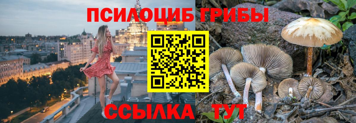 Галлюциногенные грибы Magic Shrooms  Вход с VPN  Гулькевичи  Псилоцибиновые грибы MAGIC MUSHROOMS 